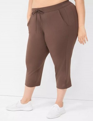 Women Lane Bryant LIVI Knit Capri Pants Dark Brown | HPQ5523KK