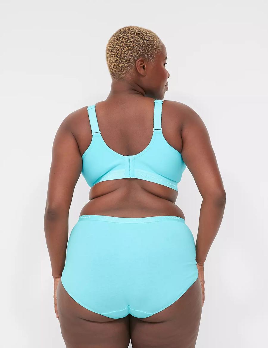 Women Lane Bryant Cotton Full With Lace Trim Briefs Turquoise | VUO993YB