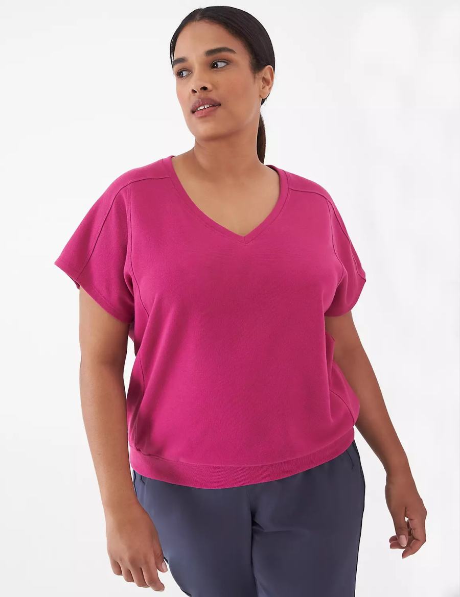 Women Lane Bryant LIVI French Terry Short-Sleeve Sweatshirts Fuchsia | XRQ1864ES